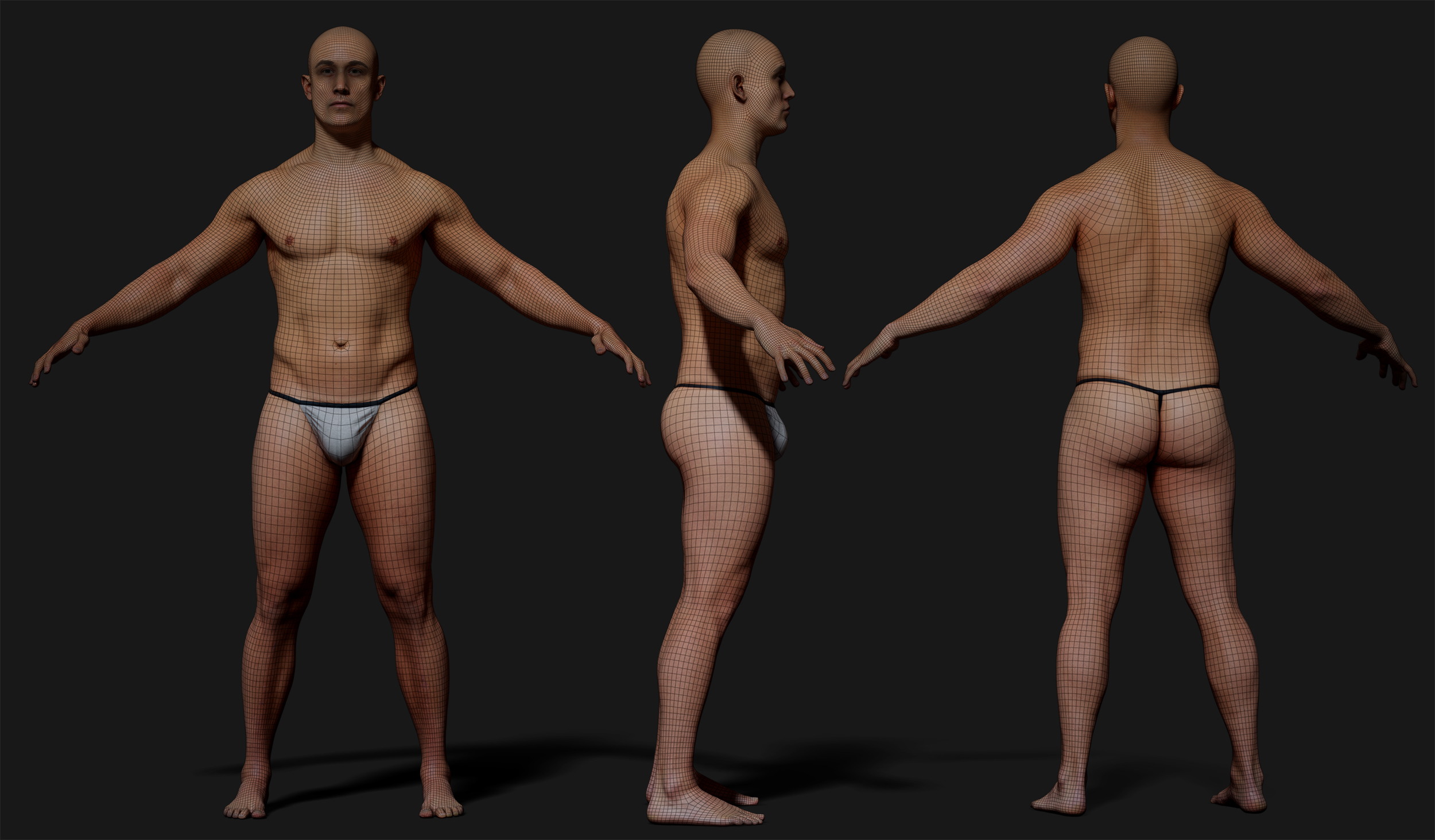Download male 3d body base mesh model with textures